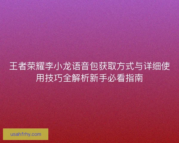王者荣耀李小龙语音包获取方式与详细使用技巧全解析新手必看指南